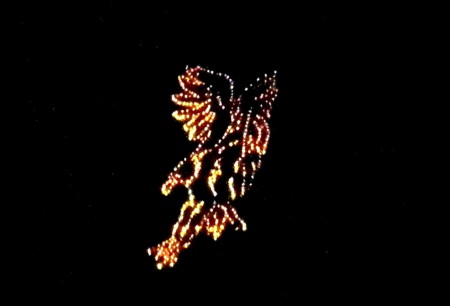 2008 - Adler 